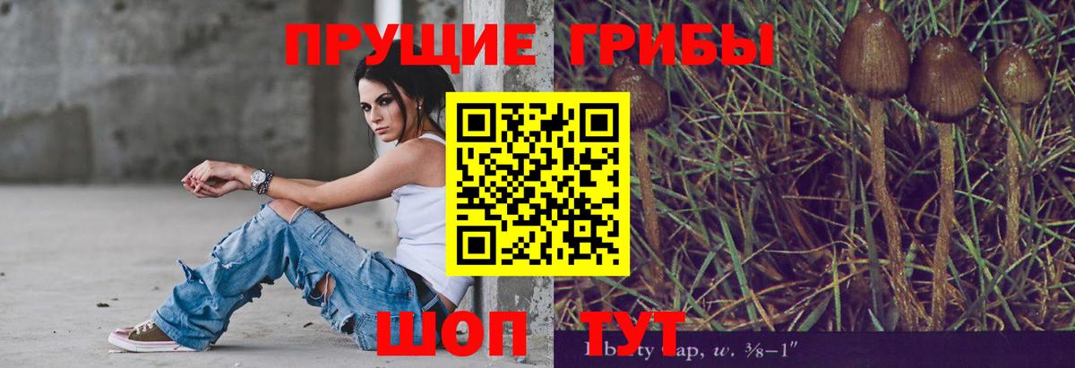 Воронеж  купить  сайты  Галлюциногенные грибы ЛСД  Вход с VPN  Галлюциногенные грибы прущие грибы 